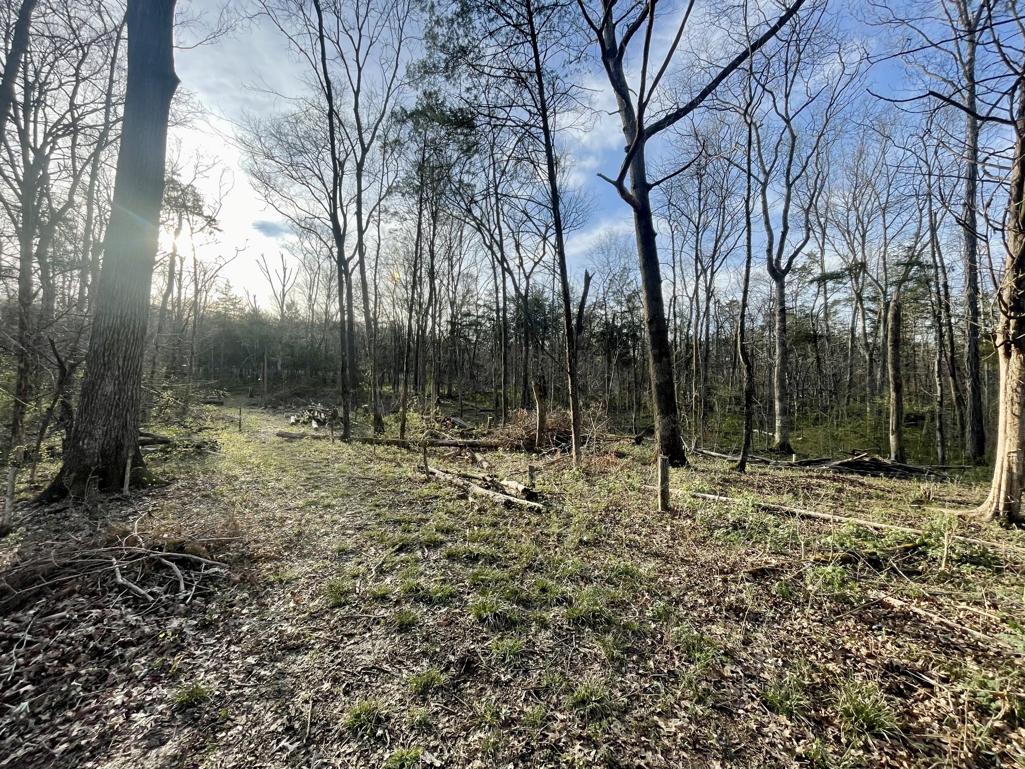 9290 Christiana Fosterville Road Christiana TN 37037