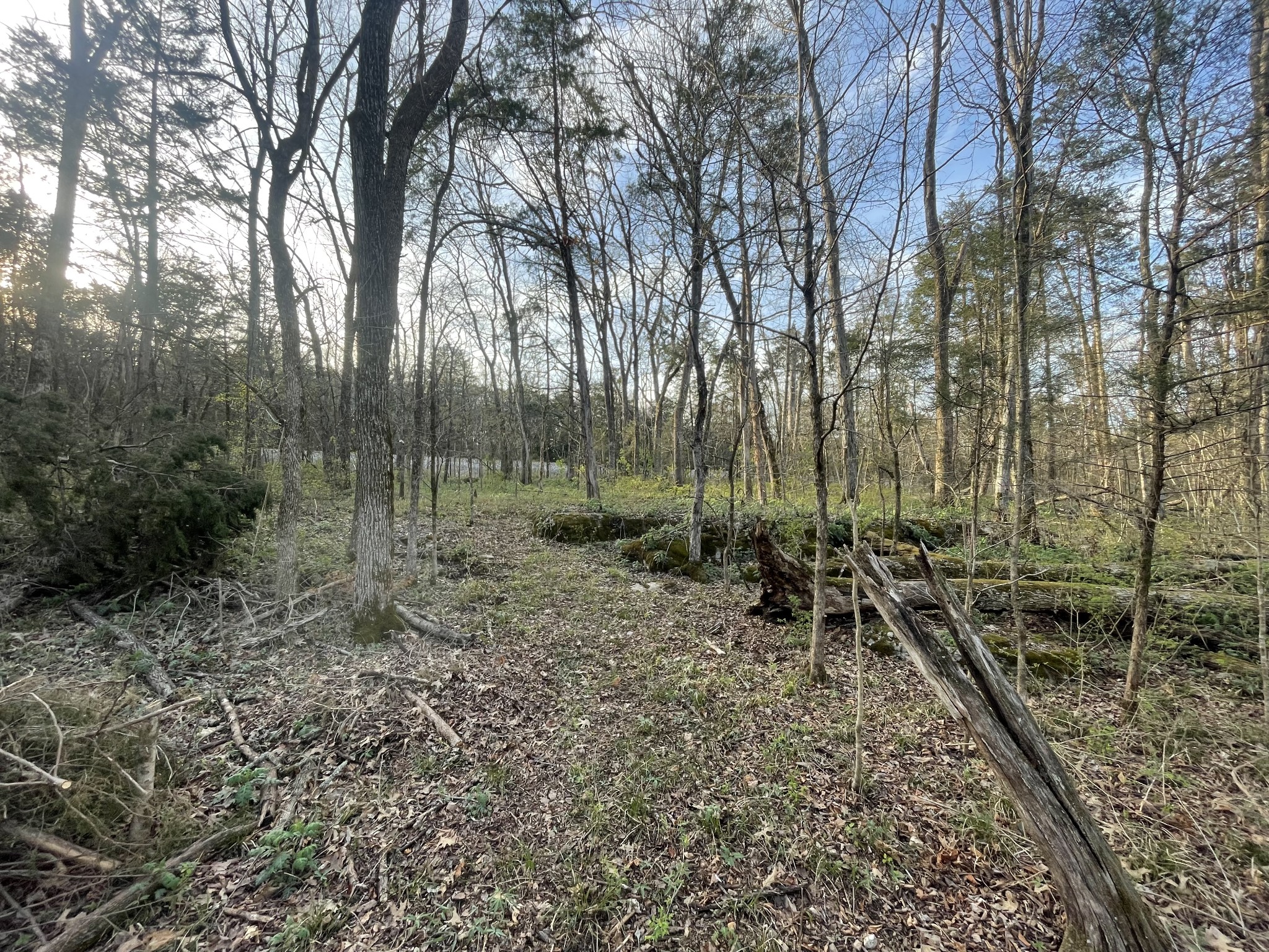 9290 Christiana Fosterville Road Christiana TN 37037