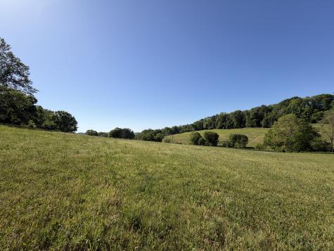 0 Steam Mill Hollow Road Tract 1 Williamsport TN 38487