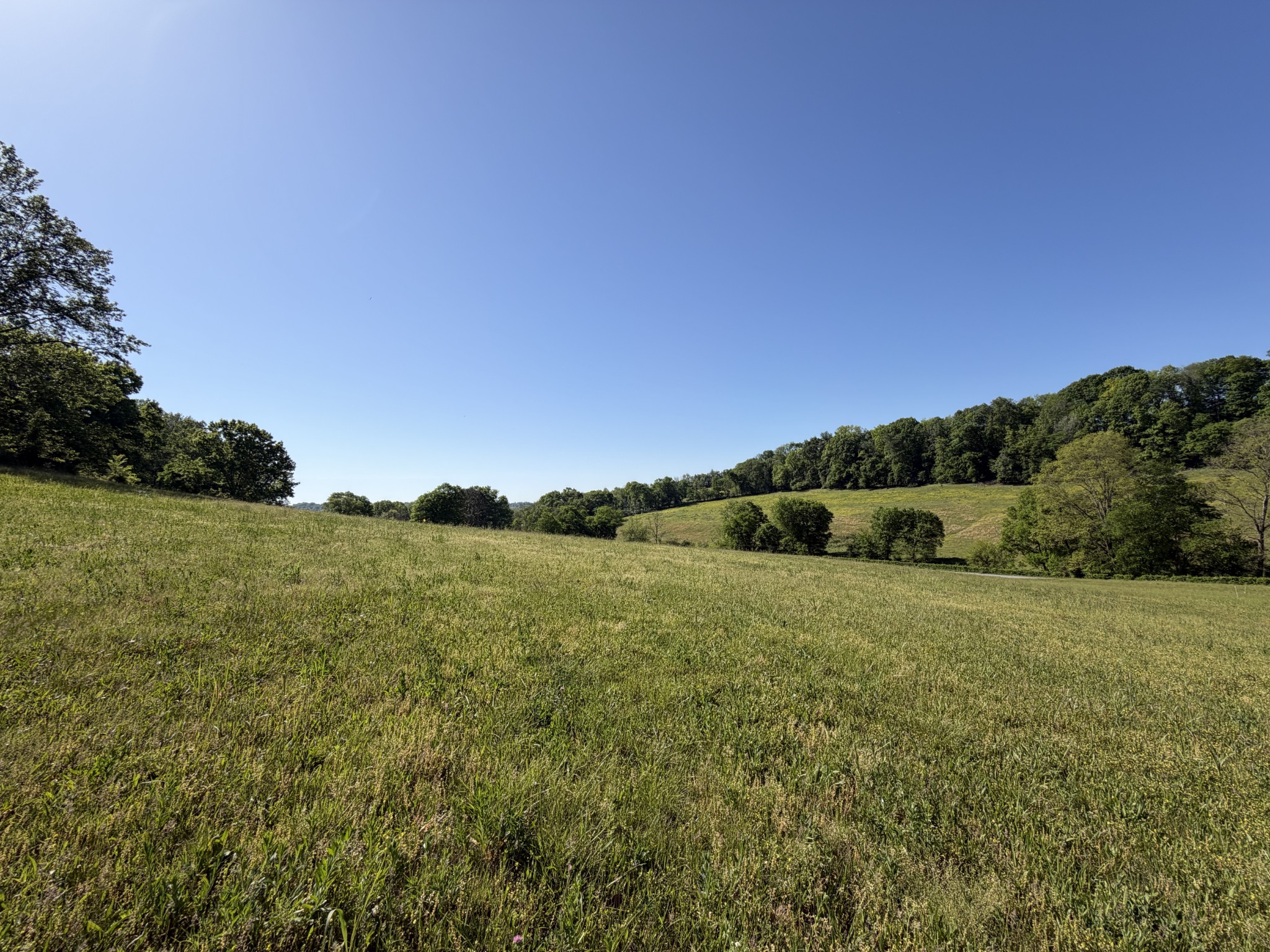 0 Steam Mill Hollow Road Tract 1 Williamsport TN 38487