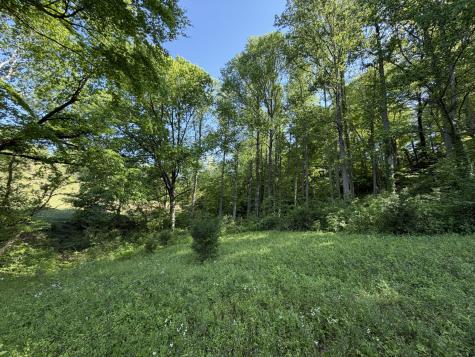 0 Steam Mill Hollow Road Tract 1 Williamsport TN 38487
