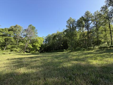0 Steam Mill Hollow Road Tract 1 Williamsport TN 38487