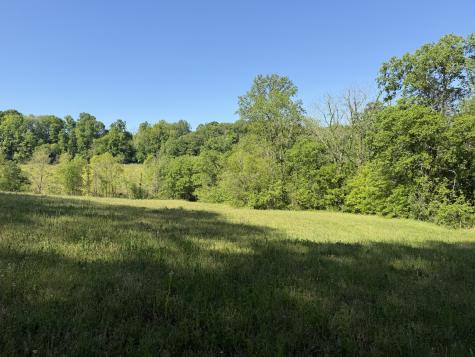 0 Steam Mill Hollow Road Tract 1 Williamsport TN 38487