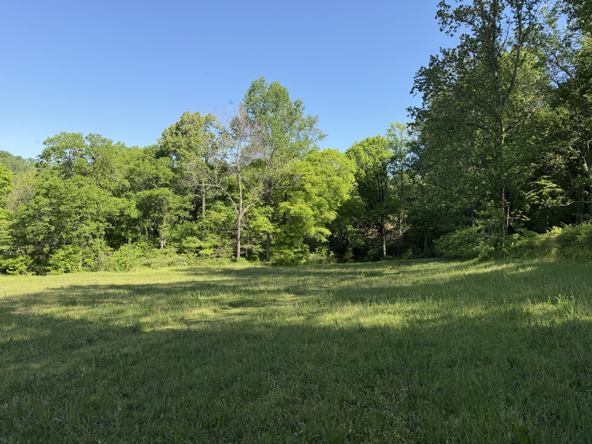 0 Steam Mill Hollow Road Tract 1 Williamsport TN 38487