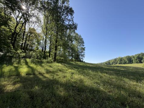 0 Steam Mill Hollow Road Tract 1 Williamsport TN 38487