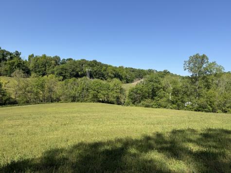 0 Steam Mill Hollow Road Tract 1 Williamsport TN 38487