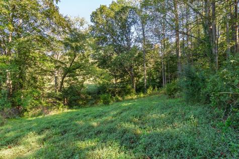 0 Steam Mill Hollow Road Tract 1 Williamsport TN 38487