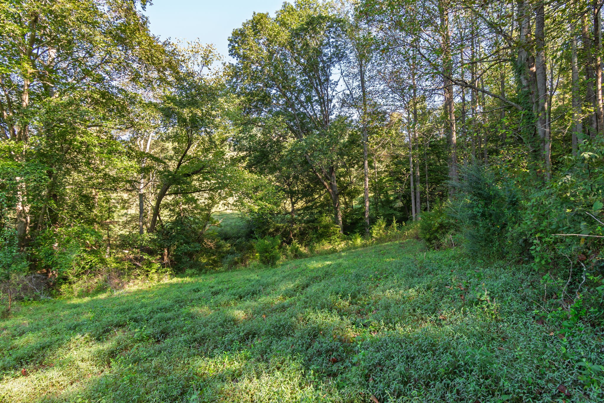 0 Steam Mill Hollow Road Tract 1 Williamsport TN 38487