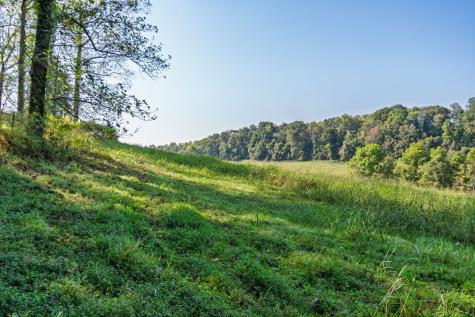 0 Steam Mill Hollow Road Tract 1 Williamsport TN 38487