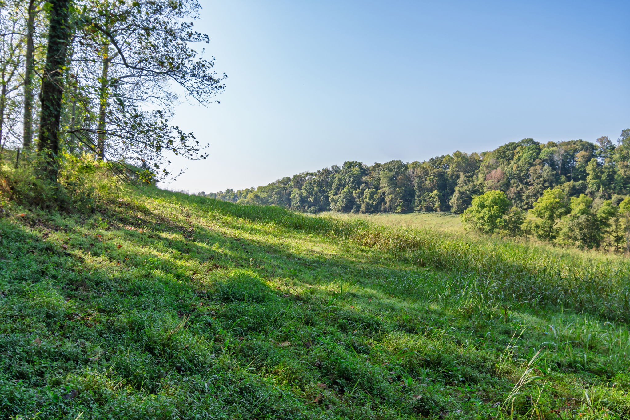0 Steam Mill Hollow Road Tract 1 Williamsport TN 38487