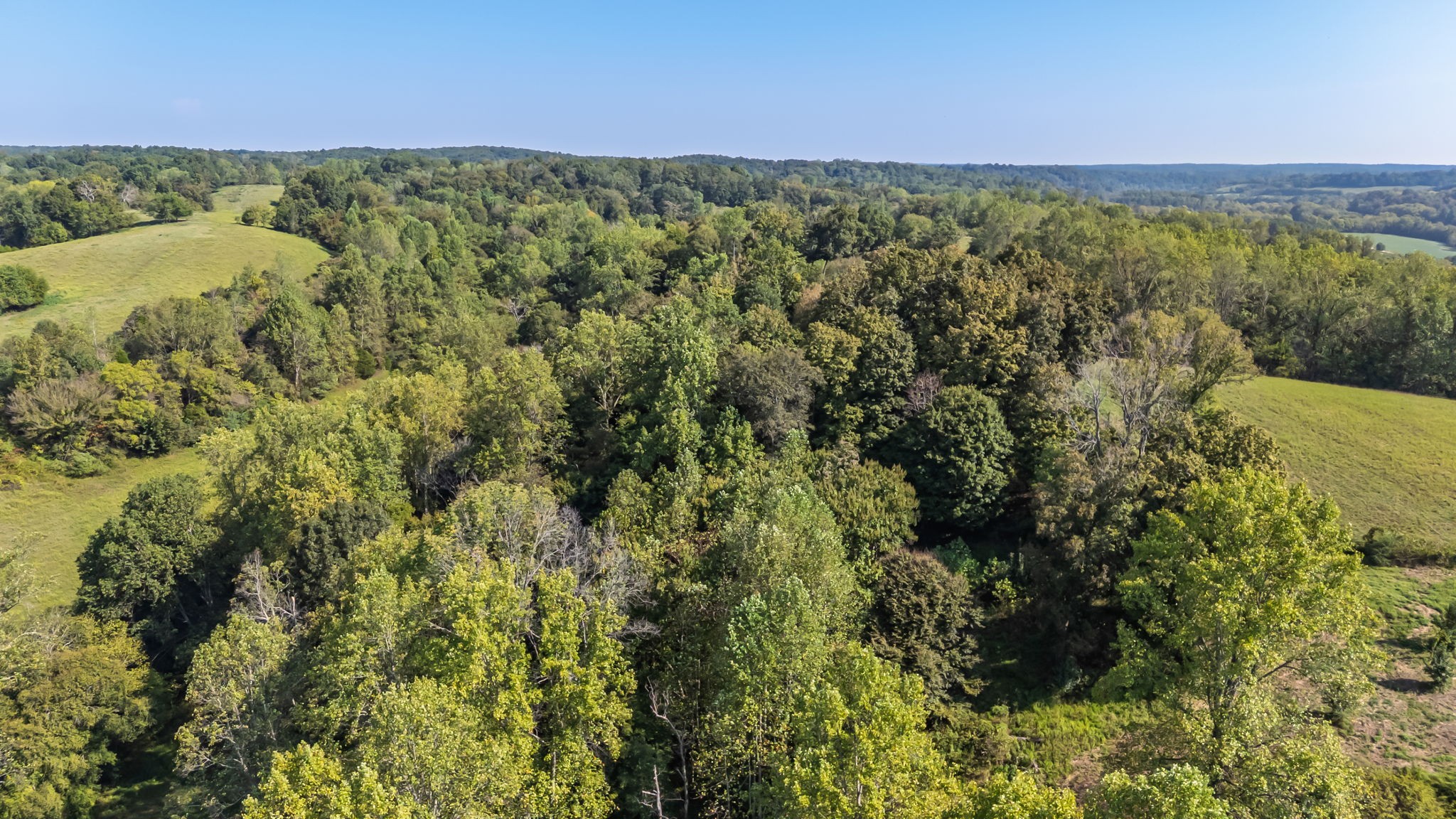 0 Steam Mill Hollow Road Tract 1 Williamsport TN 38487