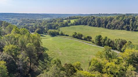 0 Steam Mill Hollow Road Tract 1 Williamsport TN 38487