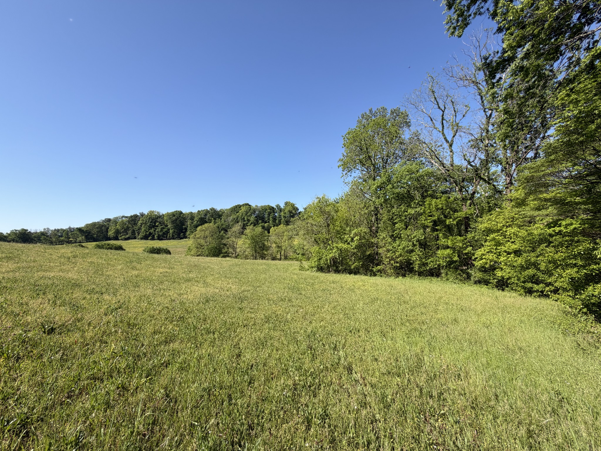 0 Steam Mill Hollow Road Tract 1 Williamsport TN 38487