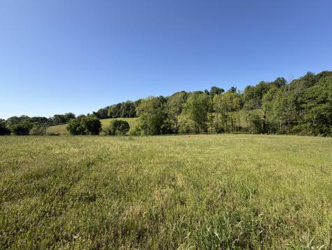 0 Steam Mill Hollow Road Tract 1 Williamsport TN 38487