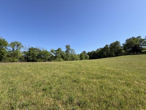 0 Steam Mill Hollow Road Tract 1 Williamsport TN 38487