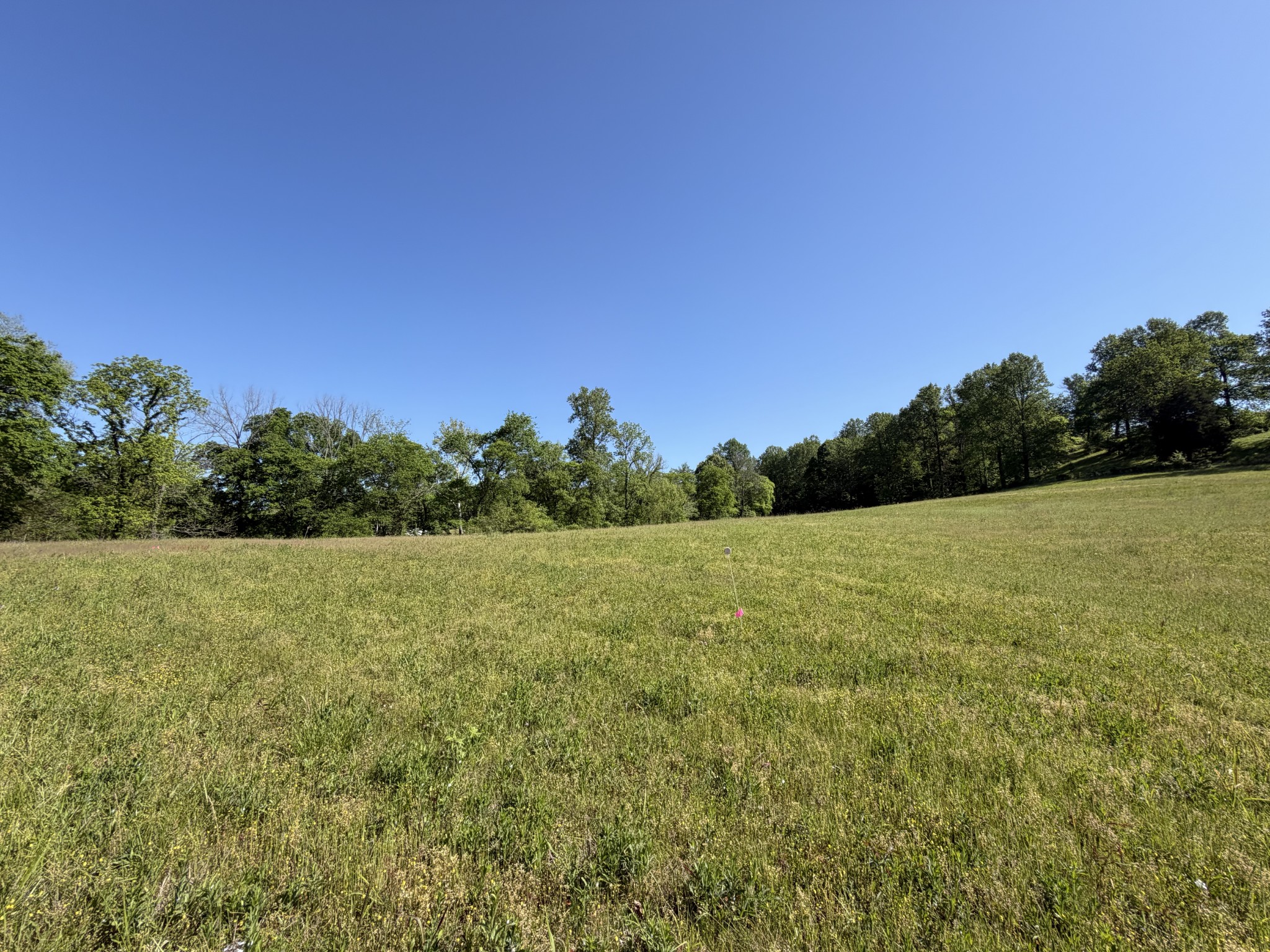 0 Steam Mill Hollow Road Tract 1 Williamsport TN 38487