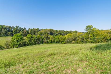 0 Steam Mill Hollow Road Tract 1 Williamsport TN 38487