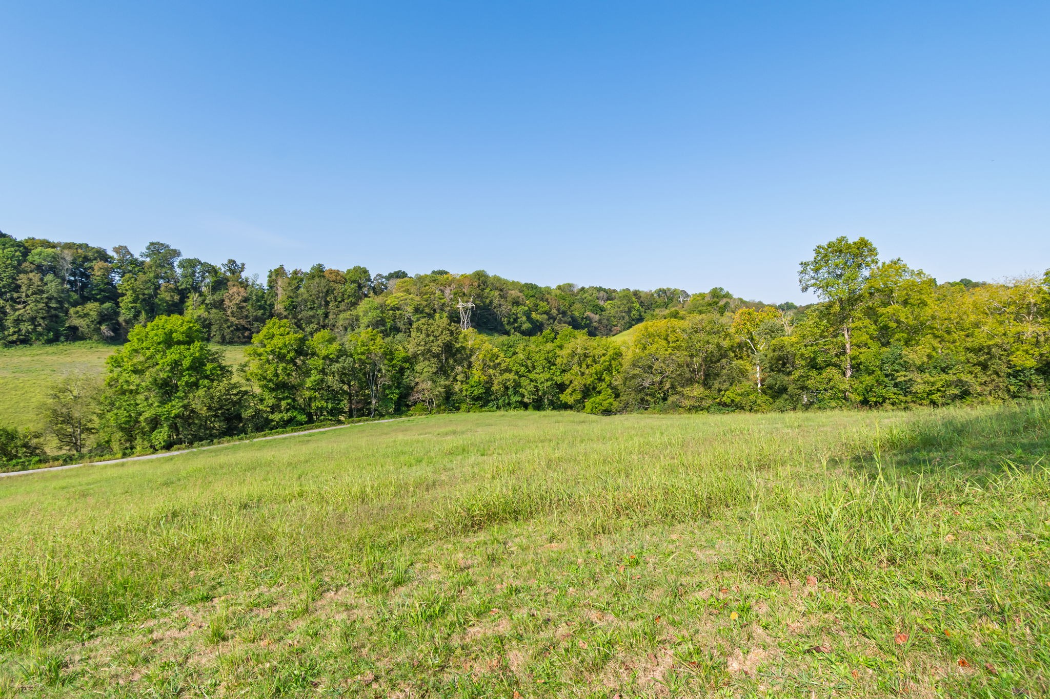 0 Steam Mill Hollow Road Tract 1 Williamsport TN 38487