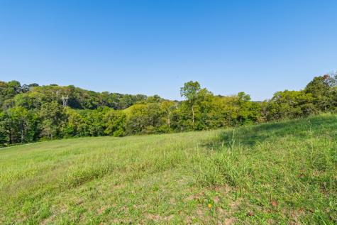 0 Steam Mill Hollow Road Tract 1 Williamsport TN 38487