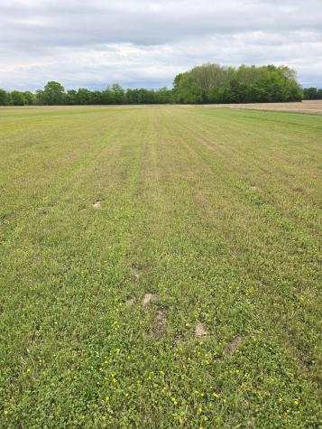 0 Shoemaker Road Eagleville TN 37060