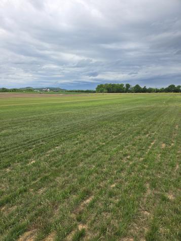 0 Shoemaker Road Eagleville TN 37060