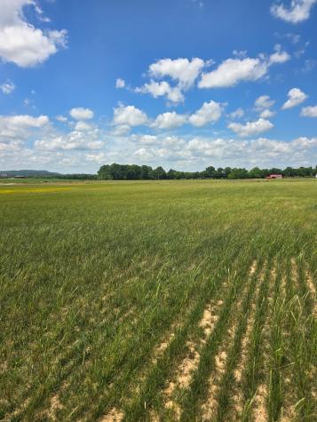 0 Shoemaker Road Eagleville TN 37060