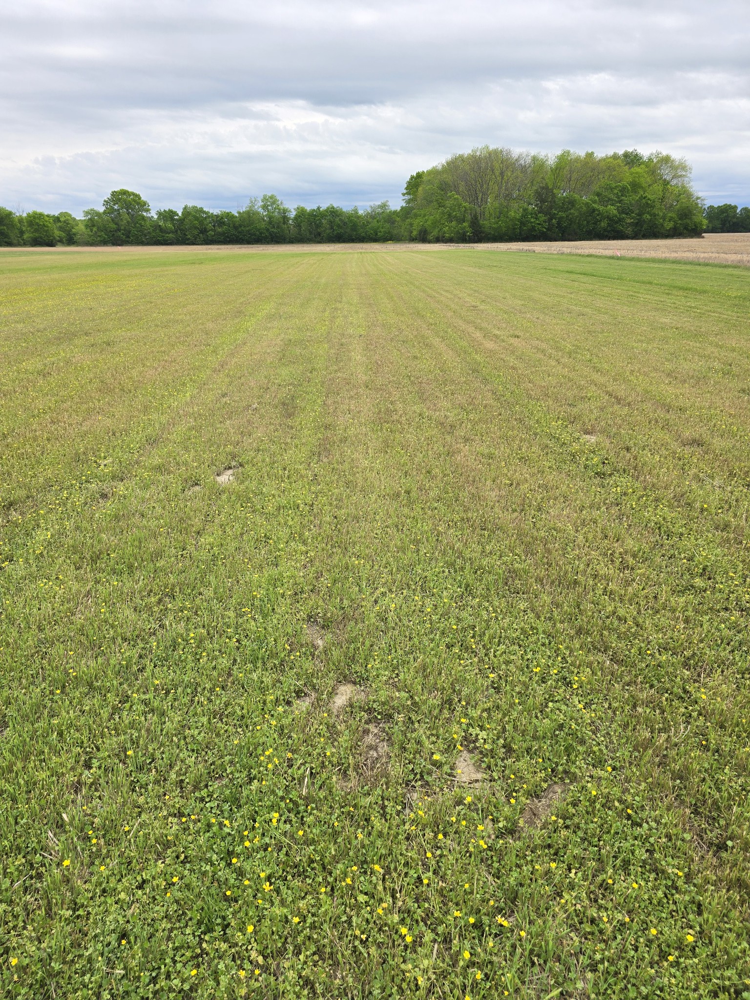 0 Shoemaker Road Eagleville TN 37060