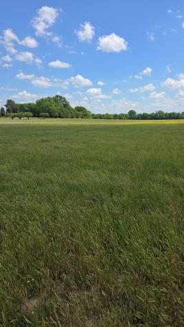 0 Shoemaker Road Eagleville TN 37060