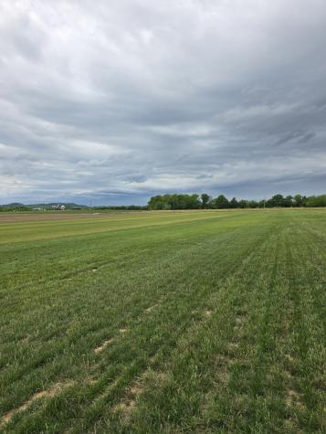 0 Shoemaker Road Eagleville TN 37060