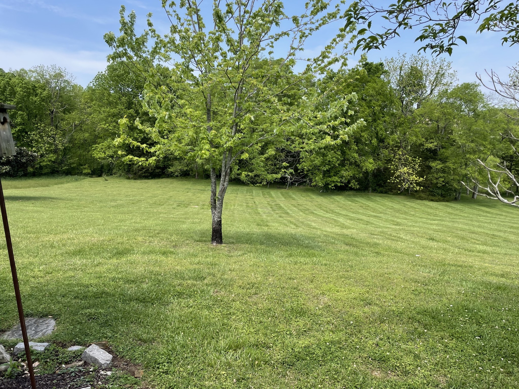 5568 Beckwith Road Mount Juliet TN 37122