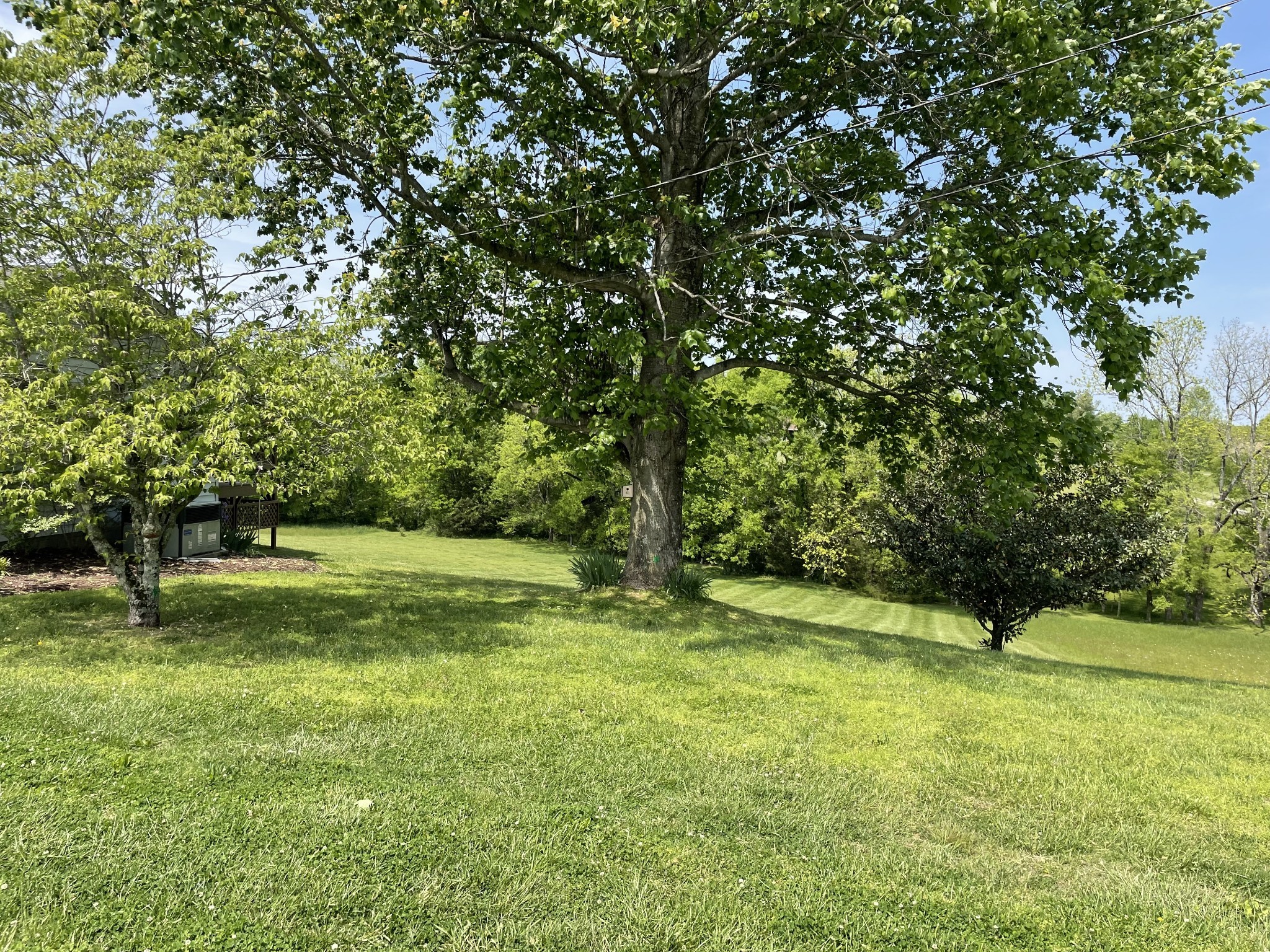 5568 Beckwith Road Mount Juliet TN 37122