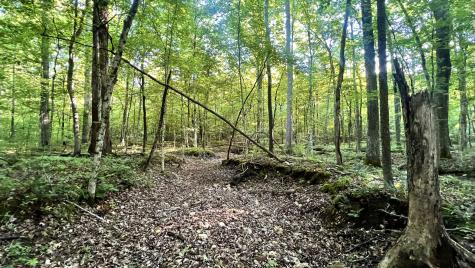 0 Seven Mile Ridge Road Indian Mound TN 37079
