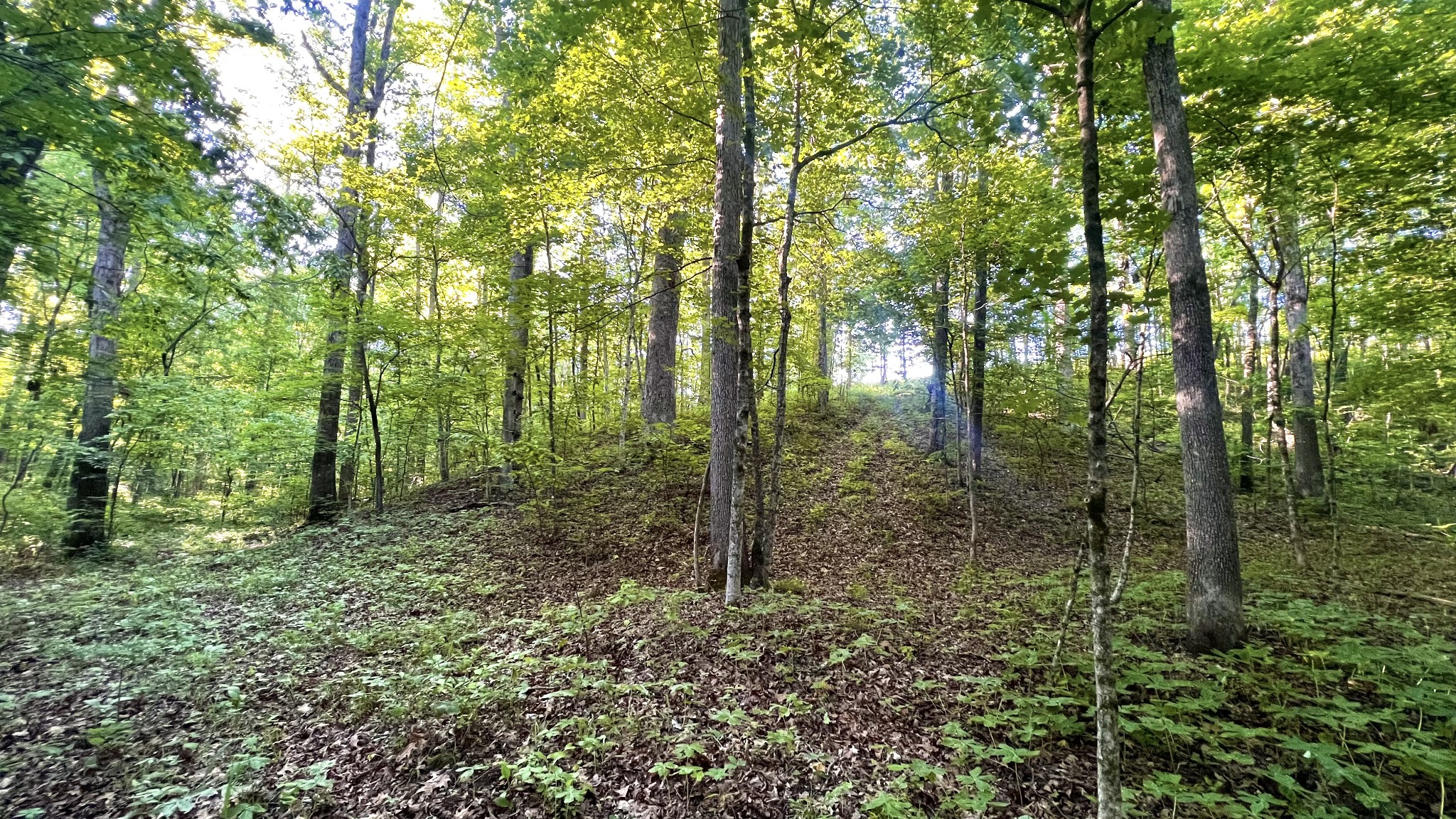 0 Seven Mile Ridge Road Indian Mound TN 37079
