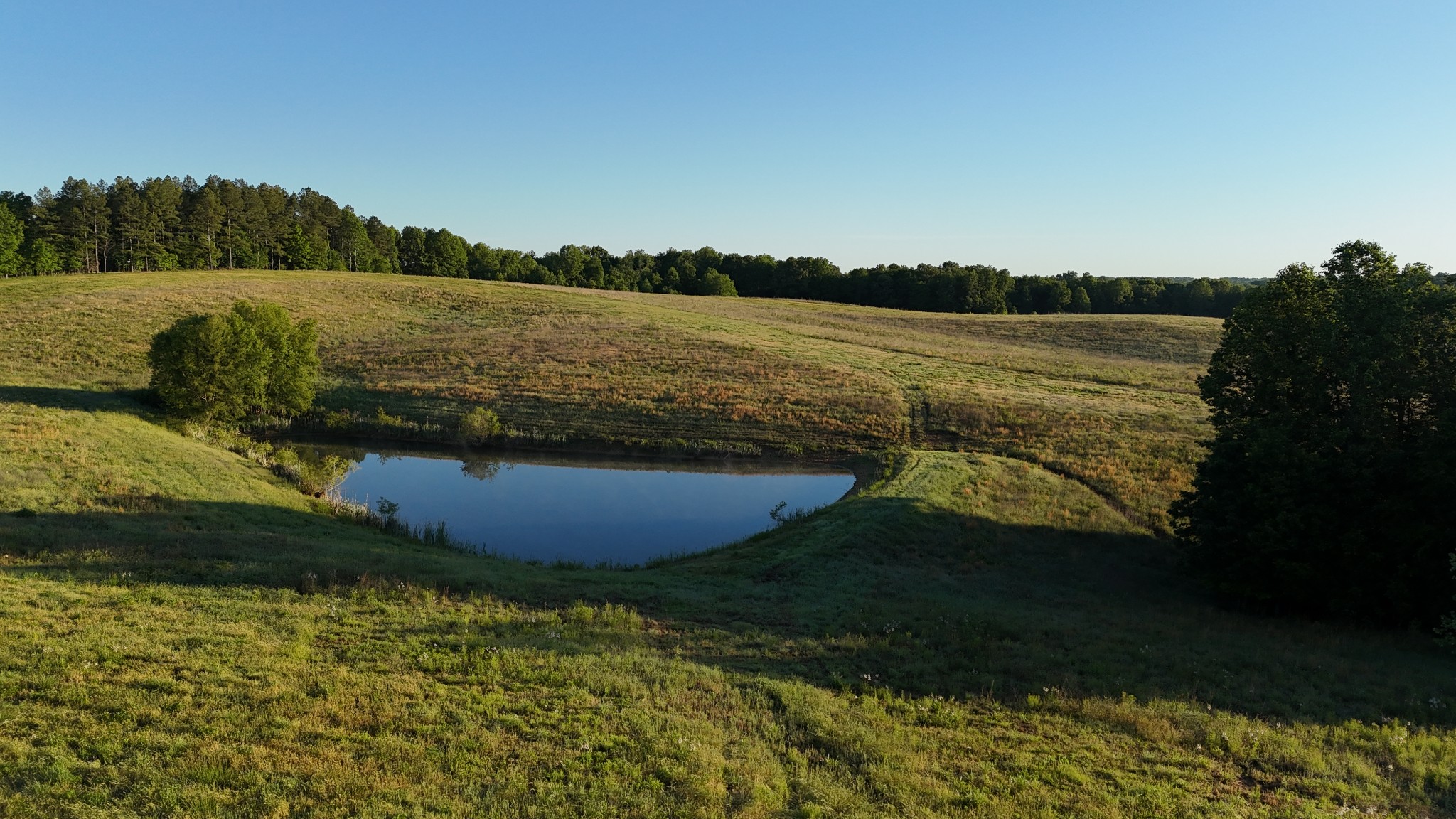 0 Seven Mile Ridge Road Indian Mound TN 37079