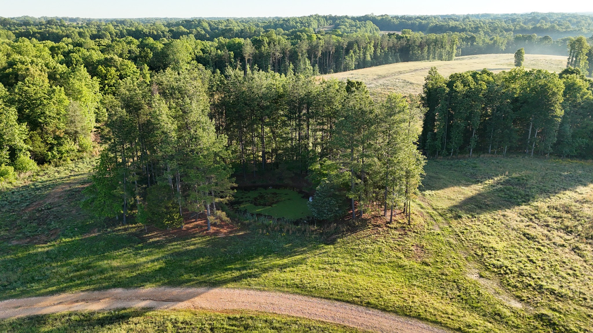 0 Seven Mile Ridge Road Indian Mound TN 37079