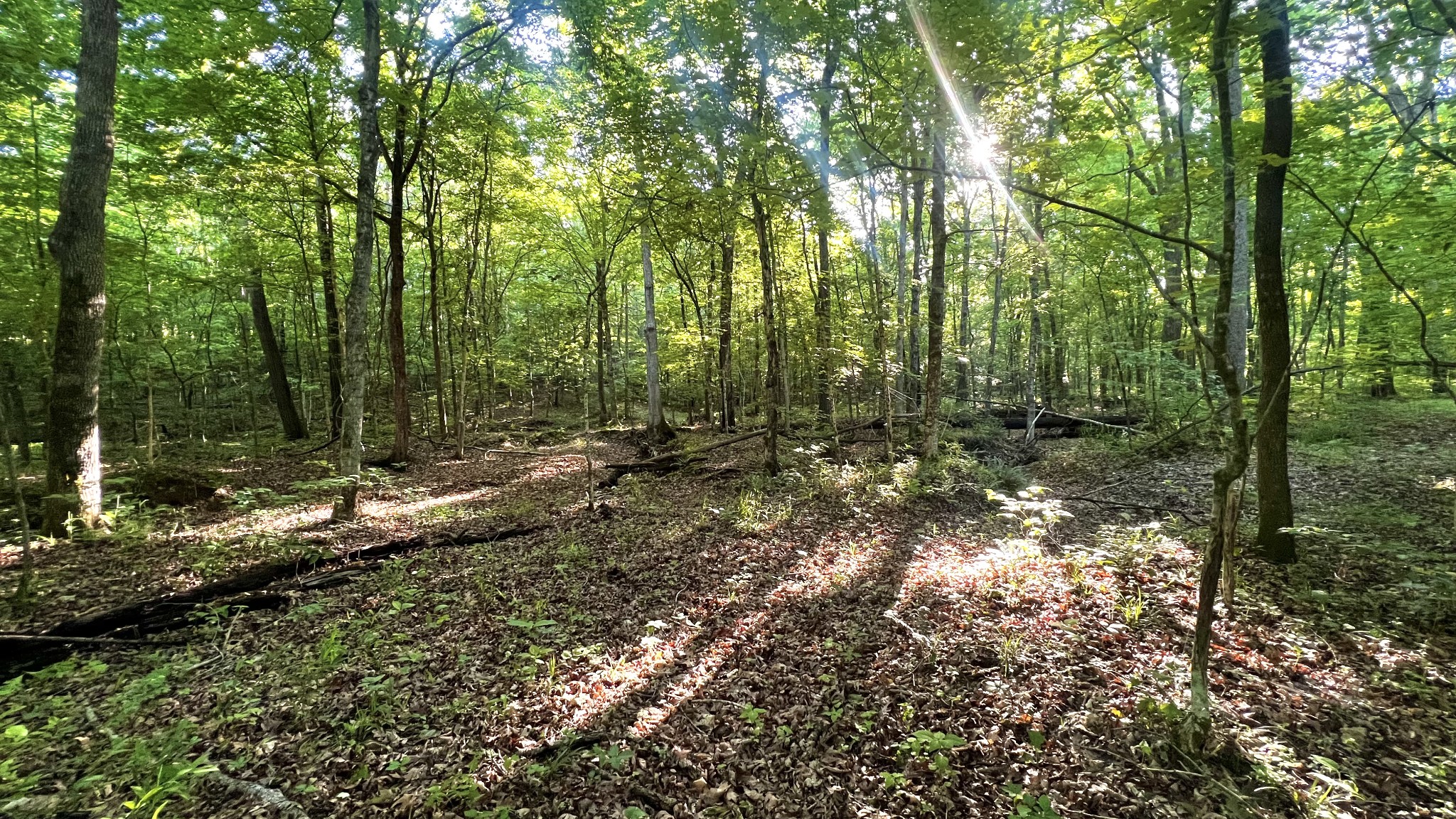 0 Seven Mile Ridge Road Indian Mound TN 37079