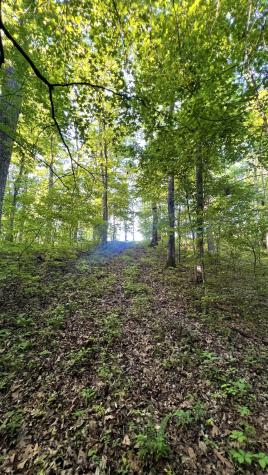 0 Seven Mile Ridge Road Indian Mound TN 37079
