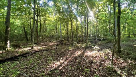 0 Seven Mile Ridge Road Indian Mound TN 37079