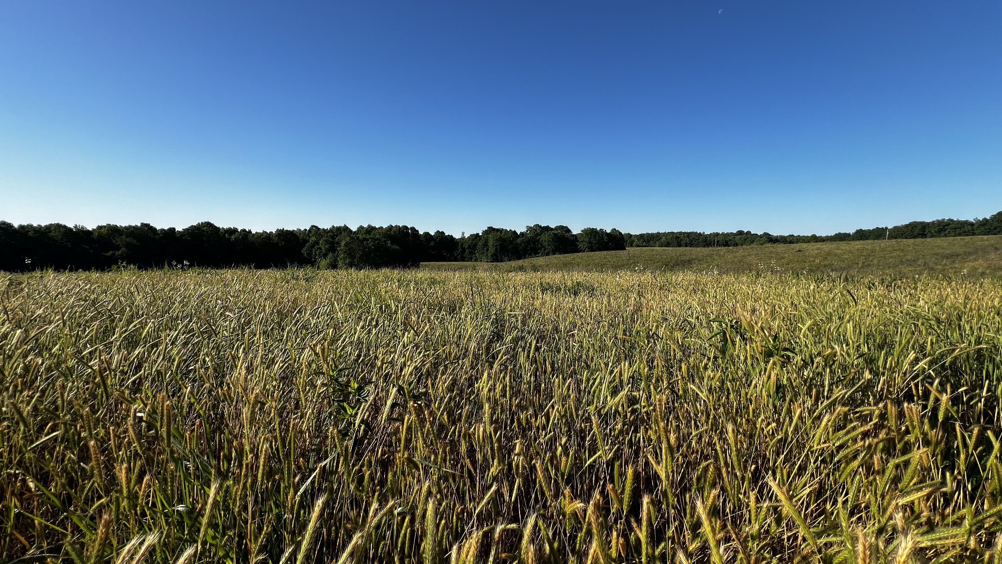 0 Seven Mile Ridge Road Indian Mound TN 37079