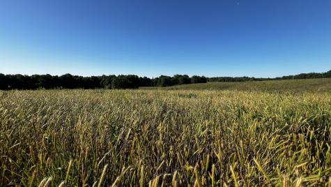 0 Seven Mile Ridge Road Indian Mound TN 37079