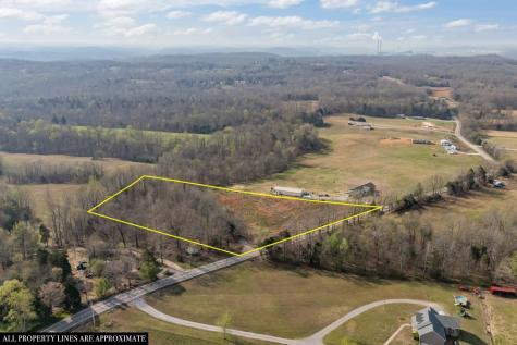 362 Hayes Ridge Road Indian Mound TN 37079