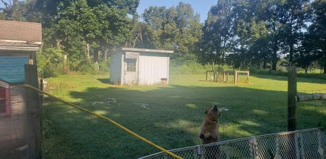 1608 Old Bildad Road Smithville TN 37166
