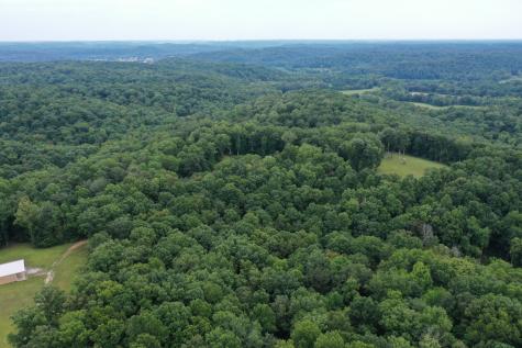 1273 Craggie Hope Road Kingston Springs TN 37082