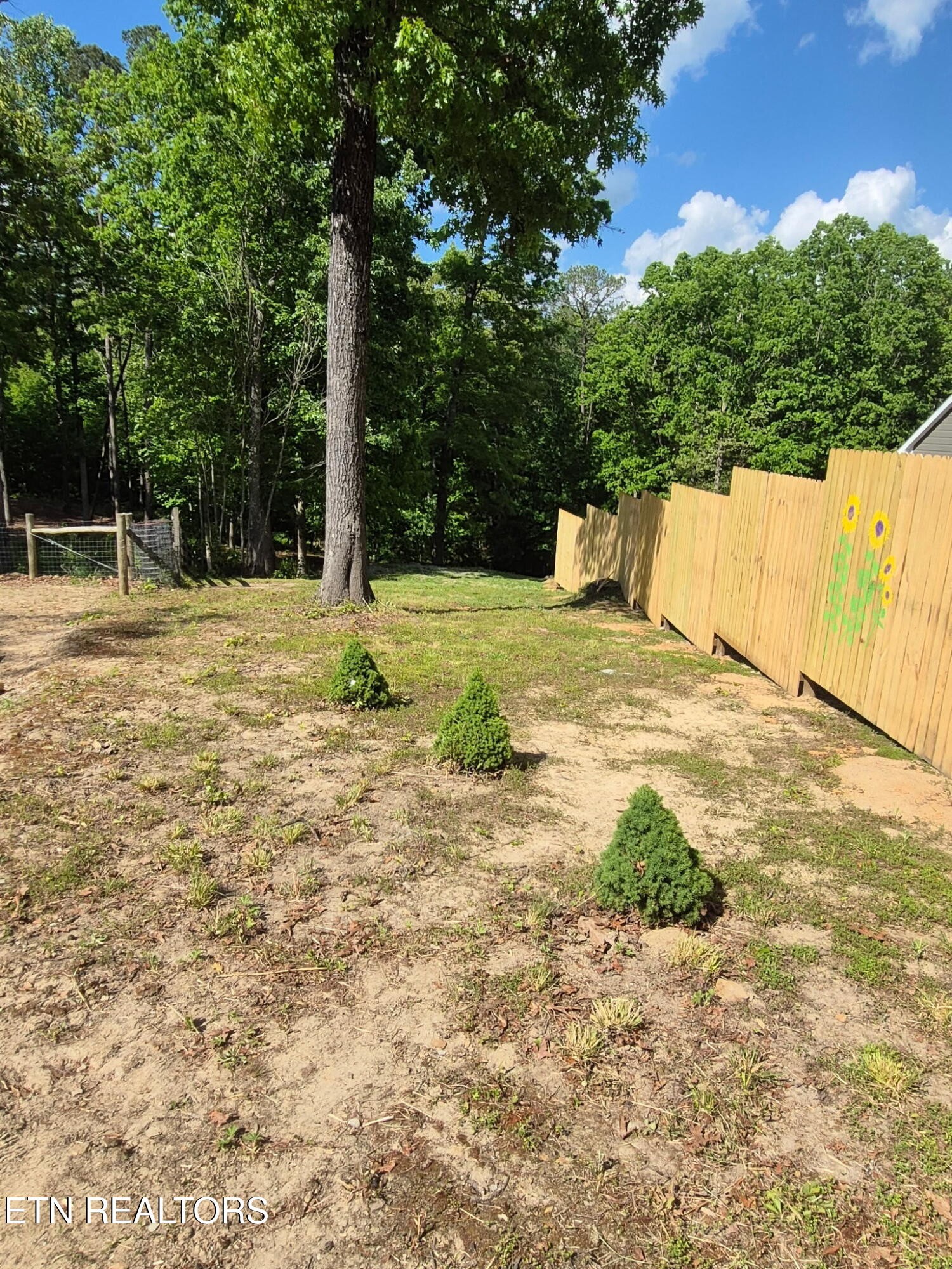 101 Ridgepoint Road Jamestown TN 38556