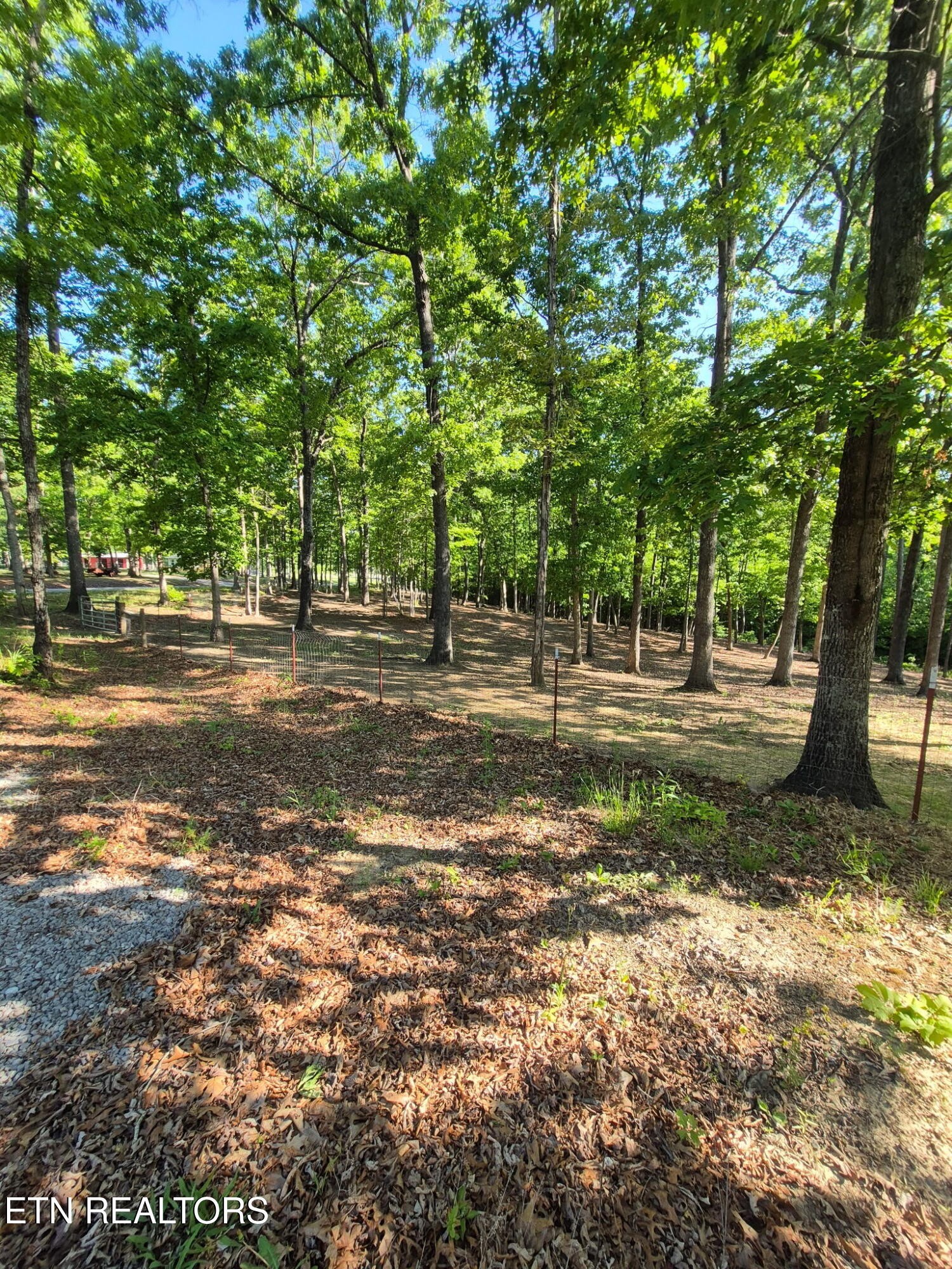 101 Ridgepoint Road Jamestown TN 38556