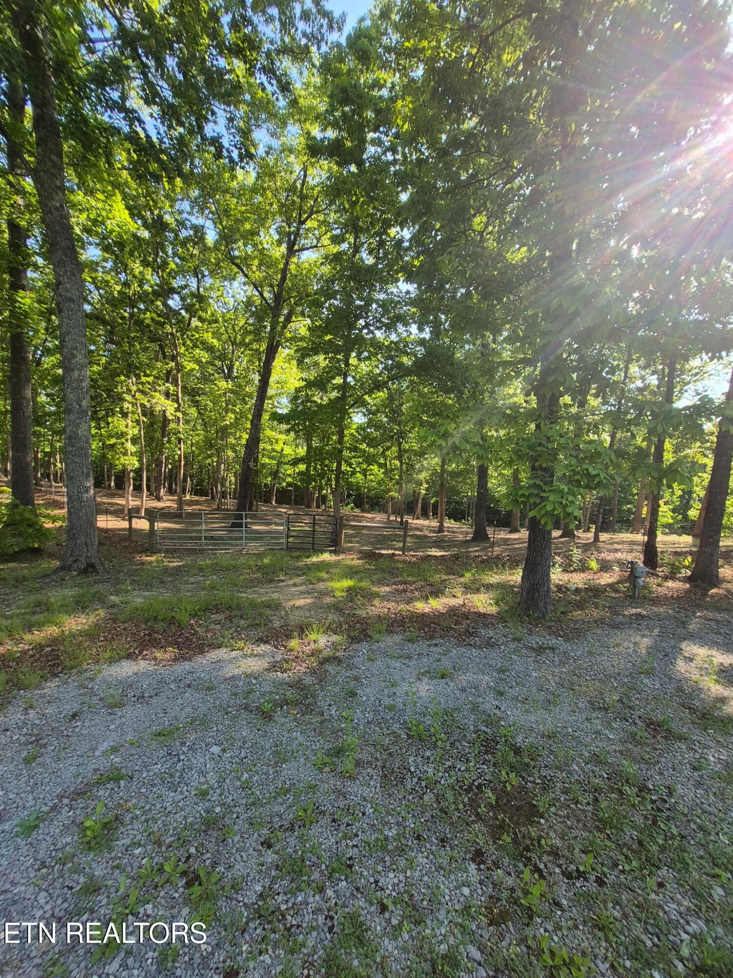 101 Ridgepoint Road Jamestown TN 38556