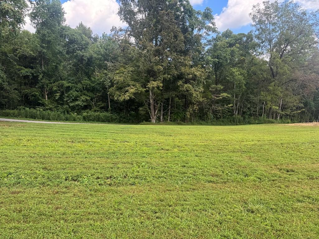 0 Beaver Lane Gainesboro TN 38562