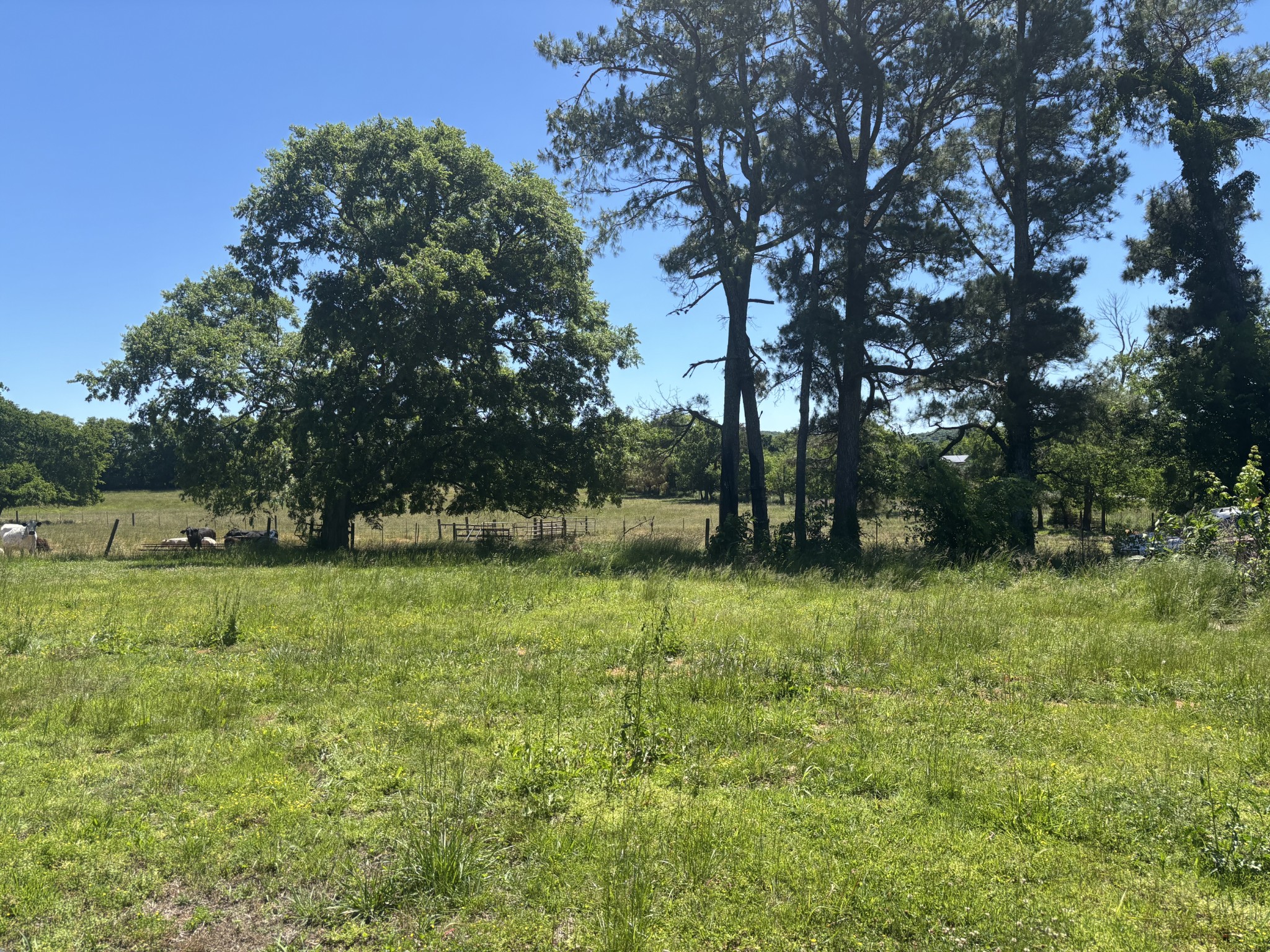 10171 Rockvale Road Rockvale TN 37153