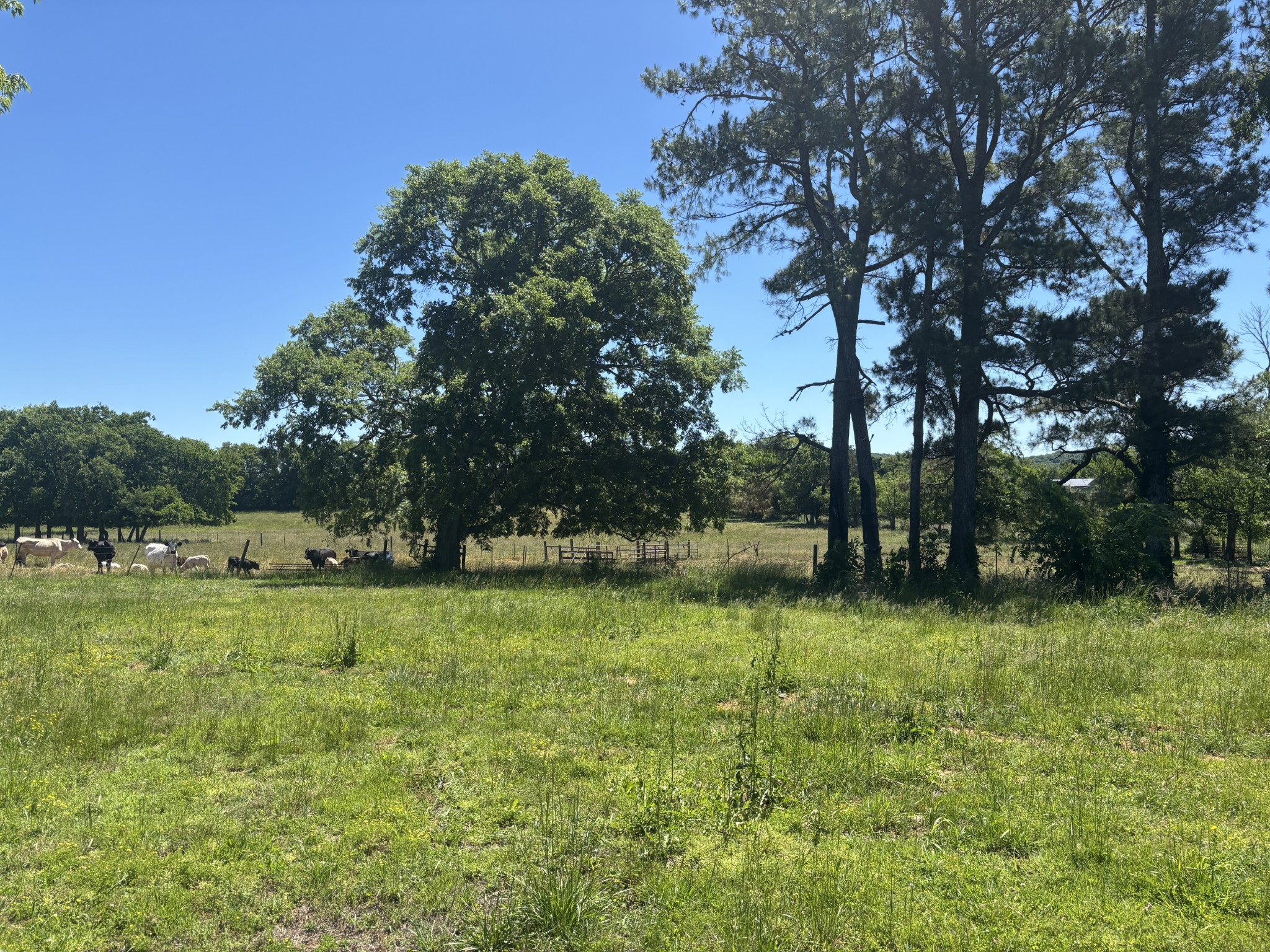 10171 Rockvale Road Rockvale TN 37153
