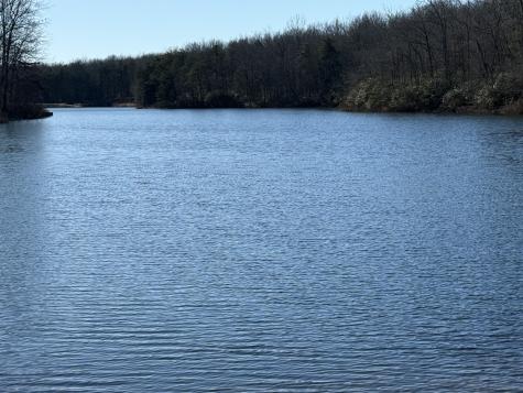 107 Chickory Lane Monteagle TN 37356